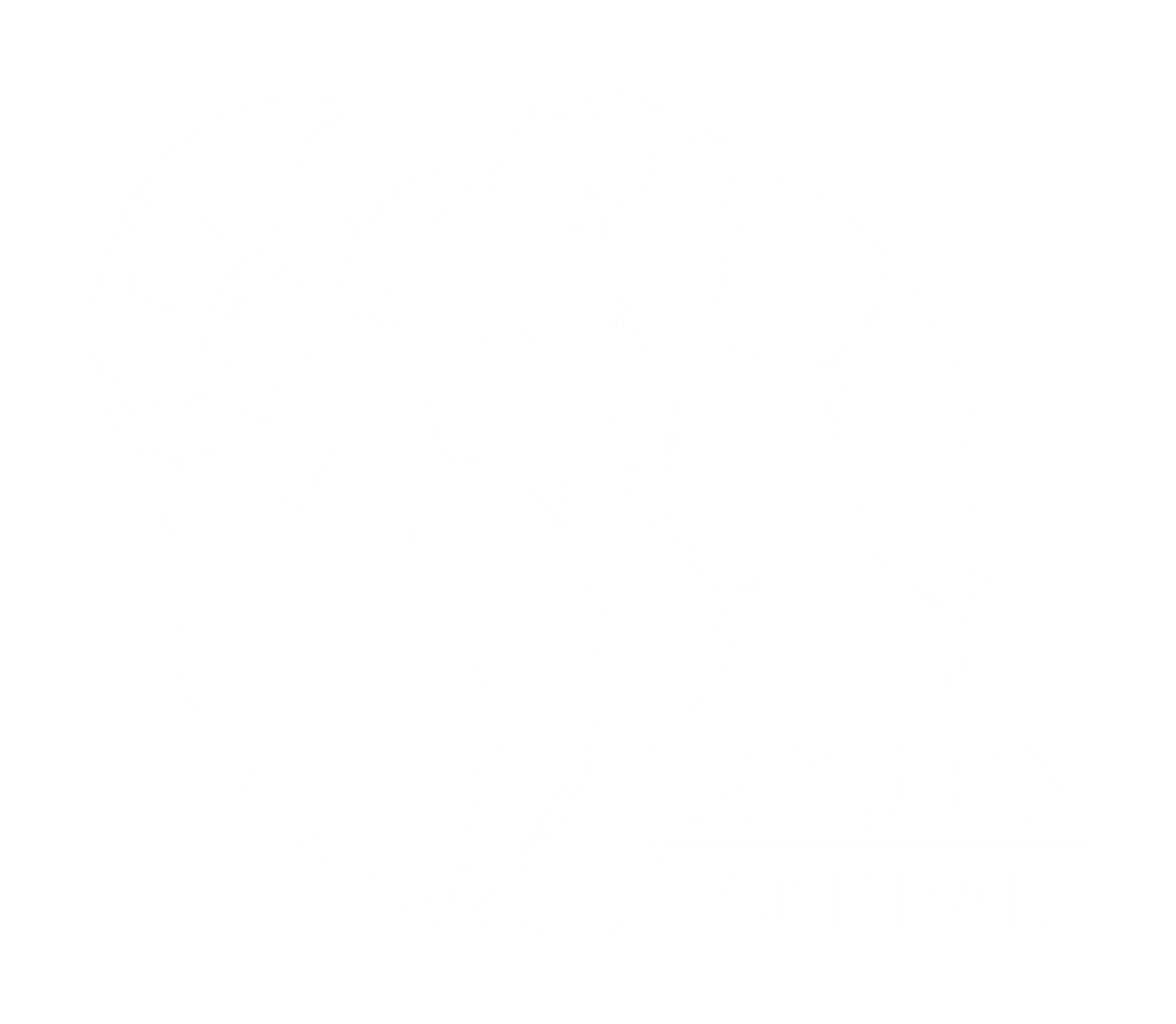 Rouen Handball